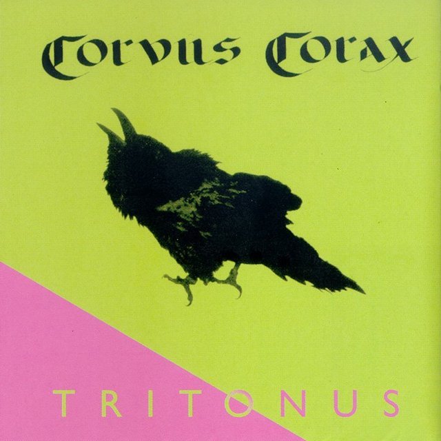 Corvus Corax 