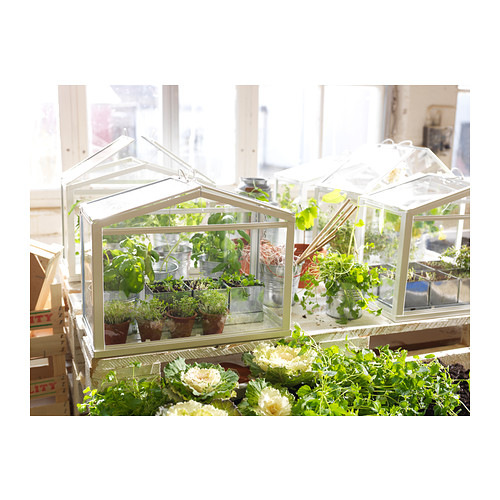 Mini Szklarnia na zioła