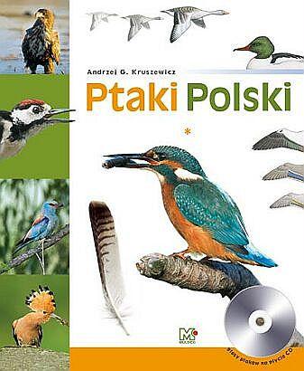Ptaki Polski T1