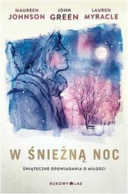 W śnieżną noc      