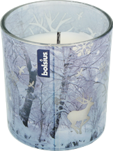 Bolsius, Fairy, świeca zapachowa w szkle, 80/72 bajkowy las 