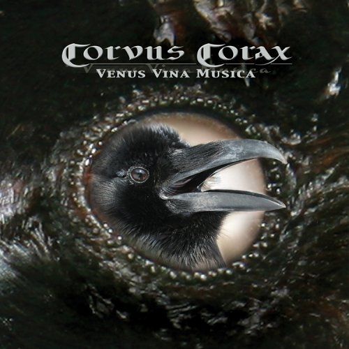 Corvus Corax 