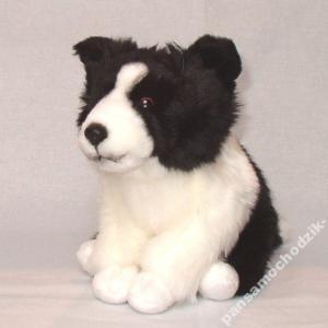 ROXI Pies Border Collie 20 cm