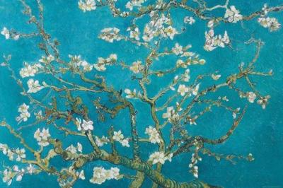 Kwitnący Migdałowiec - Van Gogh plakat