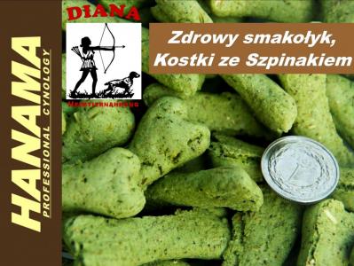 KOSTKI ze SZPINAKIEM i LUCERNĄ 