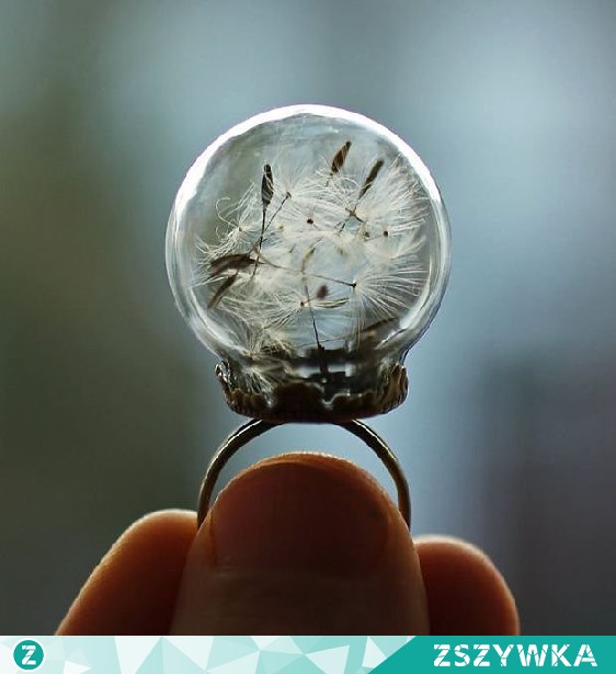 Pierścionek z dmuchawcem