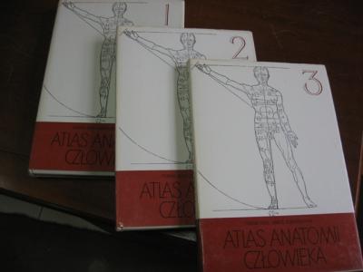 Atlas anatomii człowieka Kiss 3 tomy