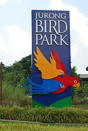 Wycieczka do Jurong Bird Park