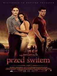 książka ,,zmieszch przed świtem''
