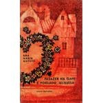 Pasażer na gapę z pokładu