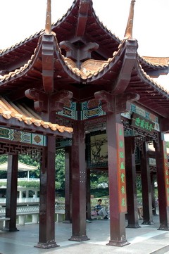 chinski dom