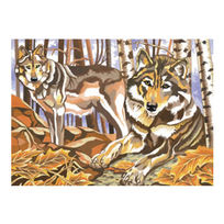 Wilki, kolorowanka, 30x40 cm