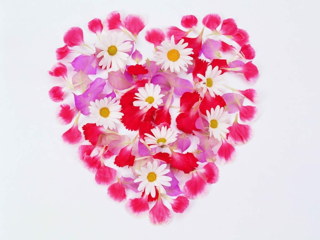 Serce+Kwiaty