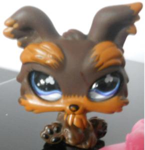 Littlest Pet Shop - figurka - szklane oczy