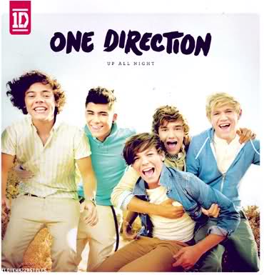 One Direction up all night