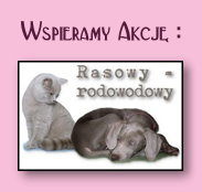 wspieram akcję rasowy rodowodowy,a ty?