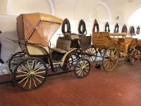 Muzeum Łowiectwa i Jeździectwa 