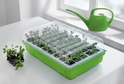 MINISZKLARENKA NA PARAPET INSPEKT ROZSADA + ZIEMIA