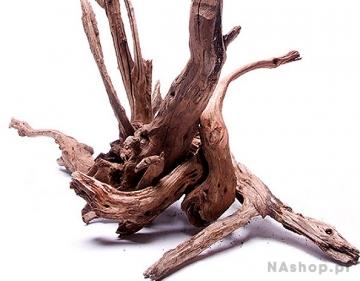 korzenie Dark Old Black Wood