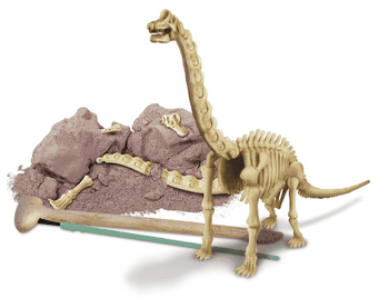 Zestaw paleontologa